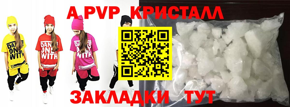 Alfa_PVP СК КРИС Курчалой