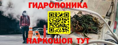 a pvp Заволжье