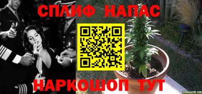 прущие крисы Заводоуковск