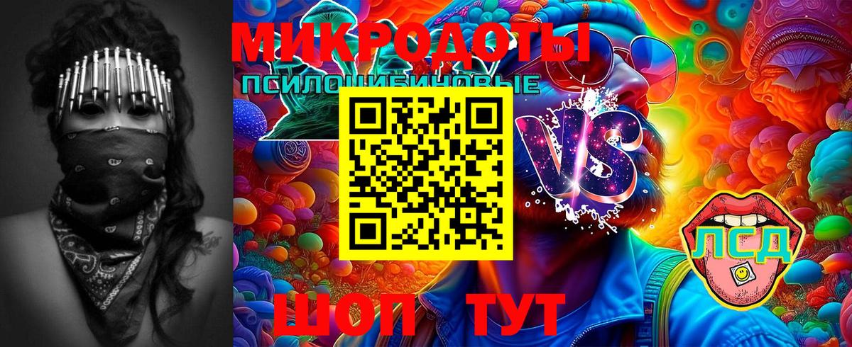 Курчалой  Галлюциногенные грибы ЛСД  Вход с VPN 